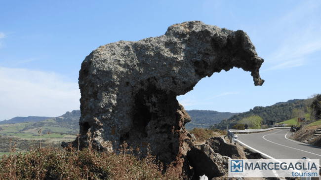 roccia elefante golfo asinara