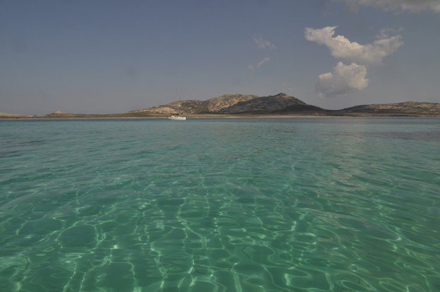 Sardegna Mare Migliore.jpg